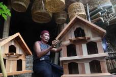 Sangkar Burung dan Ayam...