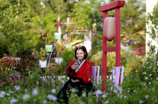 Wisata Bunga Holland...