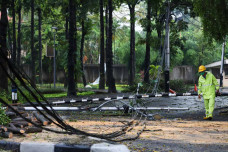Pohon dan Tiang Listrik...