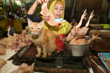 Minggu Pertama Ramadhan,...
