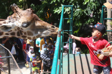 Keseruan Feeding Time...