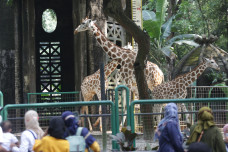 Libur Waisak, Warga...
