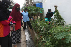 Antisipasi DBD, Tim...