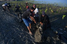 Aksi Gotong Royong Bersihkan...
