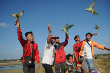Komunitas Pecinta Burung...