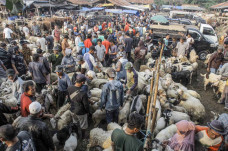 Kerumunan di Pasar Hewan...