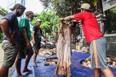 Berkah Idul Adha, Pengepul...