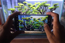 Perajin Aquascape Andalkan...