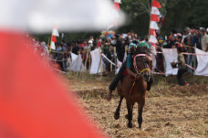 Balap Kuda Tradisional...