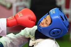 Semifinal Shorinji Kempi...