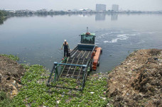 Pembersihan Sampah di...