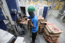 Melihat Proses Pengemasan...