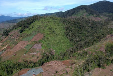 Potret Gundul Kawasan...