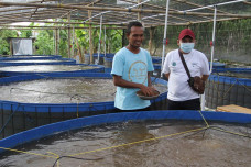 Yayasan KEHATI Berdayakan...