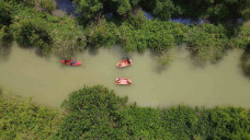 Edu-ekowisata Mangrove...