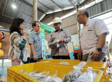 Jalin Kolaborasi, YDBA...