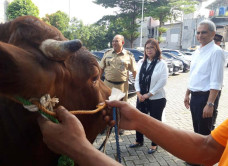 Sambut Idul Adha 1444...