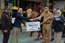 Rayakan Idul Adha, Askrindo...