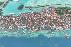 Potret Kepadatan Pulau...