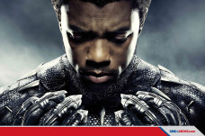 Pemeran Black Panther,...