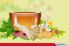 Minuman Herbal yang...