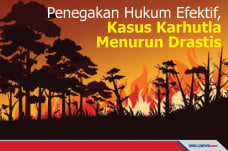 Penegakan Hukum Efektif,...