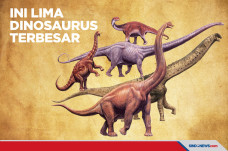 Ini 5 Dinosaurus Terbesar...