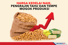 Harga Kedelai Naik,...