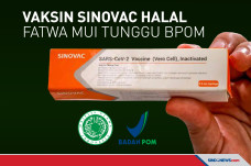 Vaksin Sinovac Suci...