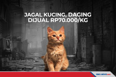 Viral Jagal Kucing di...