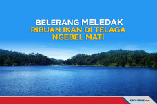 Belerang Gunung Wilis...