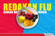 Redakan Flu dengan Makanan...