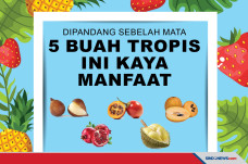 Kaya Manfaat, 5 Buah...
