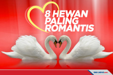 8 Hewan Romantis yang...