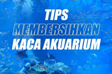 Tips Membersihkan Kaca...