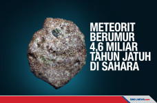 Meteorit Berumur 4,6...