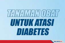 Herba yang Bisa Dikonsumsi...