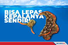 Siput Laut Ini Bisa...