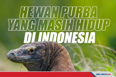 Hewan Purba yang Masih...