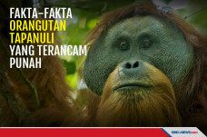 Fakta-fakta Spesies...
