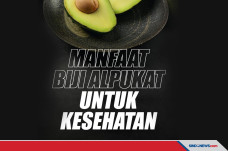 Manfaat Biji Alpukat...