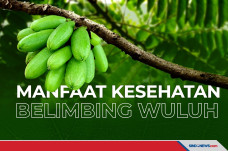 Beragam Khasiat dari...