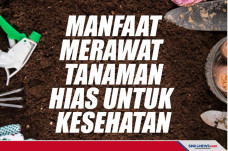 Manfaat Merawat Tanaman...