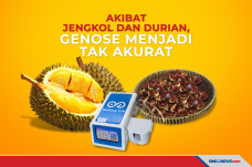 Akibat Jengkol dan Durian,...