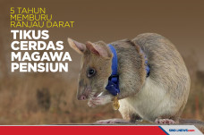 5 Tahun Memburu Ranjau...