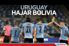 Copa America 2021: Edinson...