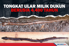 Tongkat Berbentuk Ular...