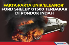 Fakta Unik Eleanor,...