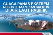 Cuaca Panas Ekstrem...