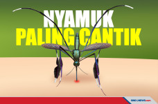 Tubuhnya Berkilau, Ini...